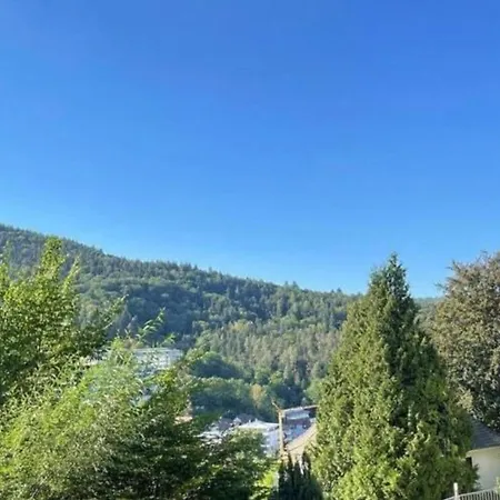 Ferienwohnung Adrion Bad Herrenalb Buitenkant foto