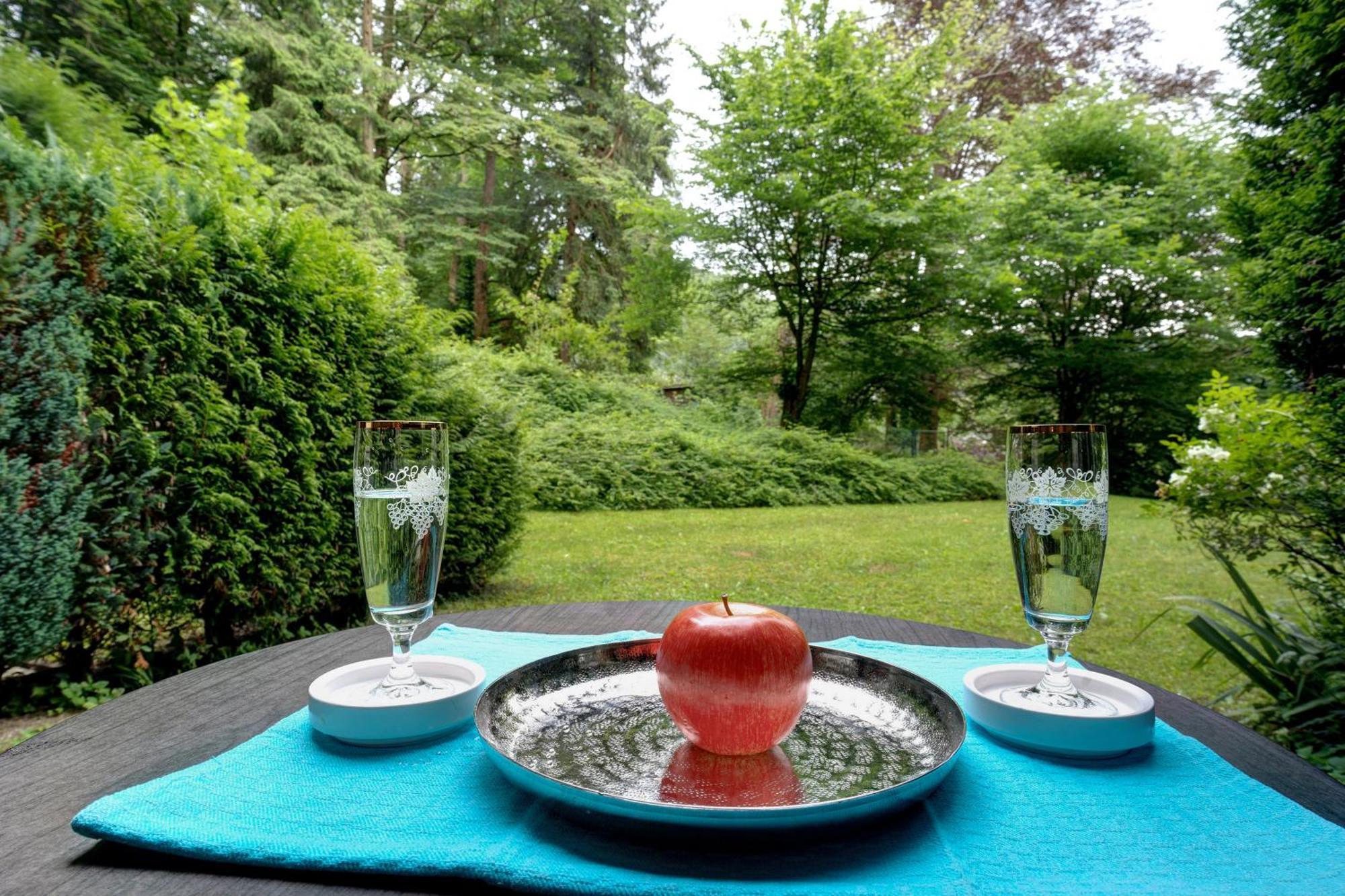 Apartment Adrion Bad Herrenalb